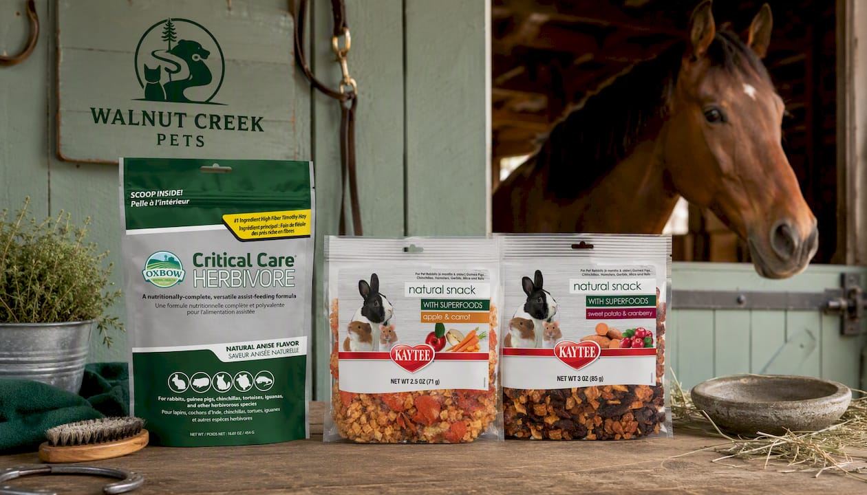 Oxbow Critical Care Herbivore Feeding Formula Anise 16oz