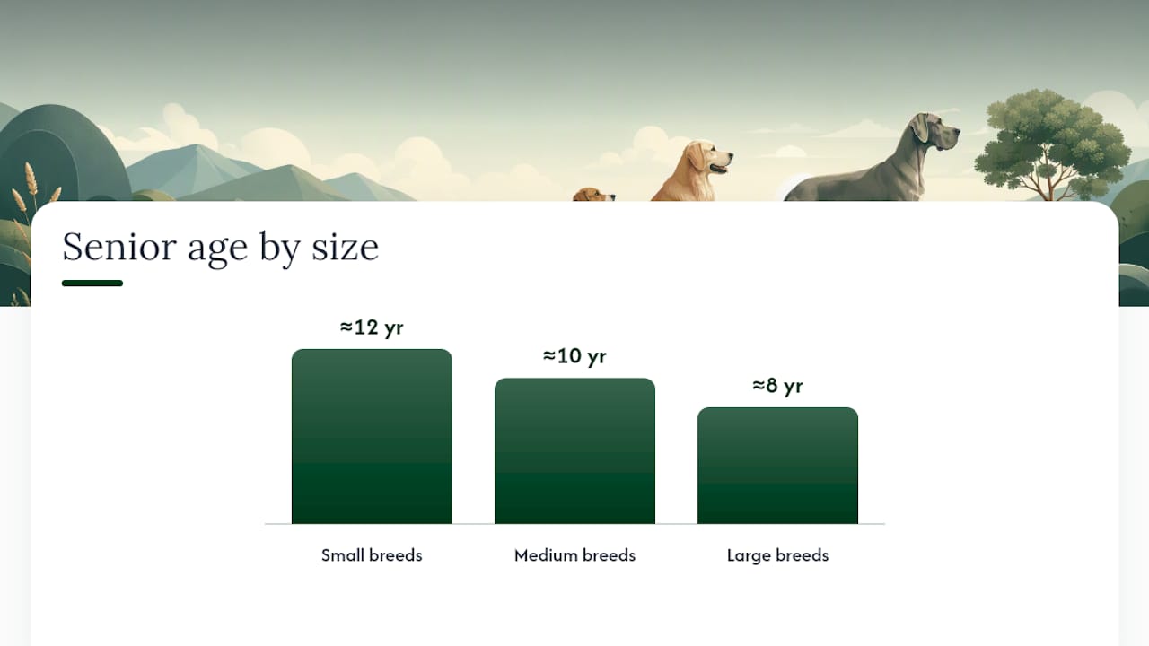 Senior age thresholds by dog size