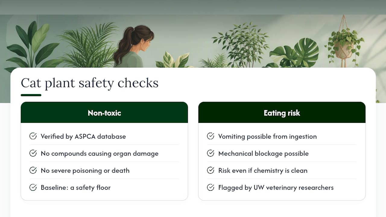 Two-part cat-safe plant safety comparison