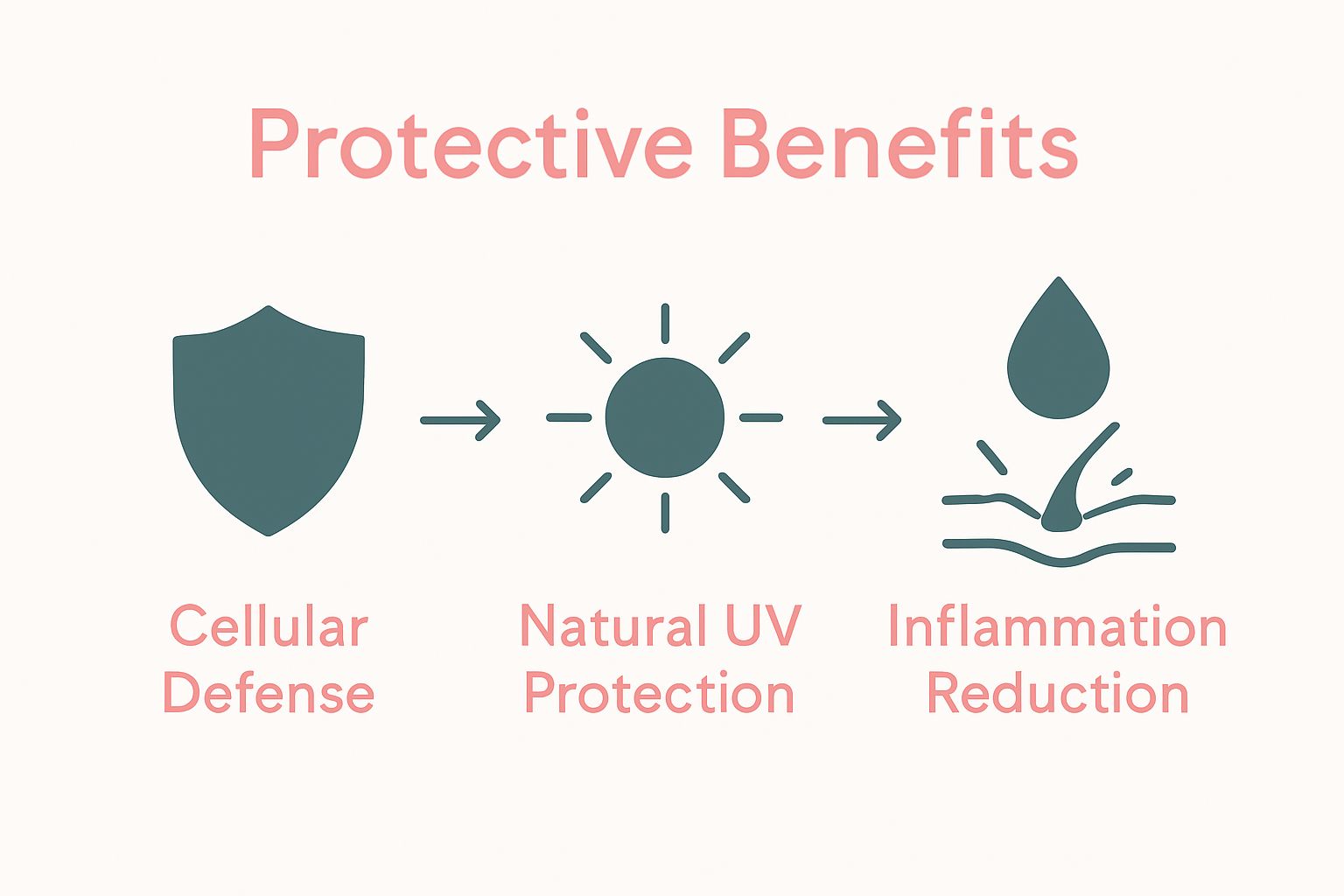 Infographic showing three main protective benefits of botanical skincare: cellular defense, UV protection, inflammation reduction