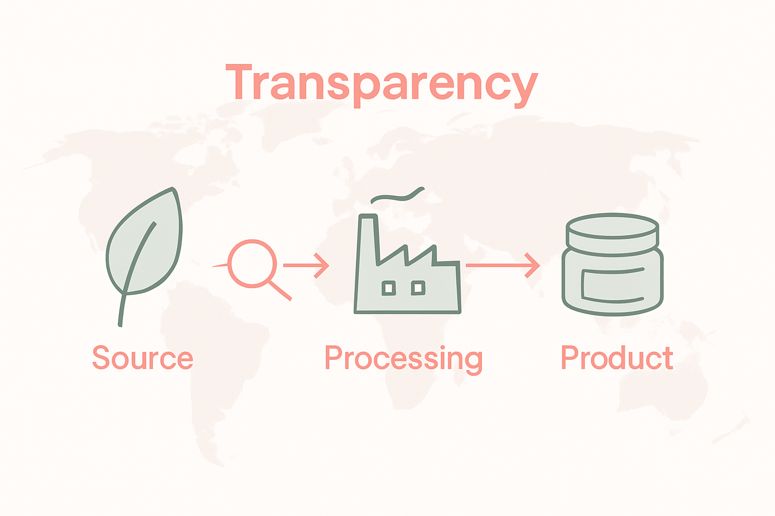 Infographic showing cosmetic ingredient sourcing process