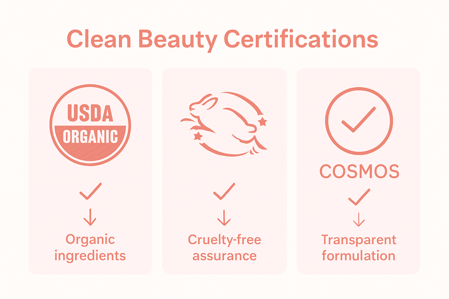 Infographic comparing clean beauty certification standards