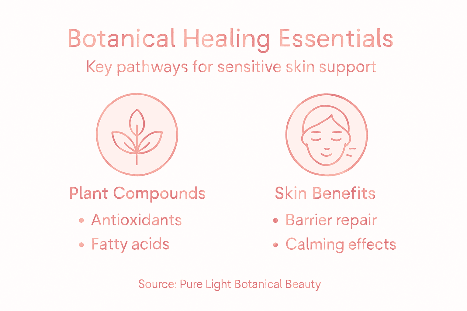 Infographic on botanical healing essentials