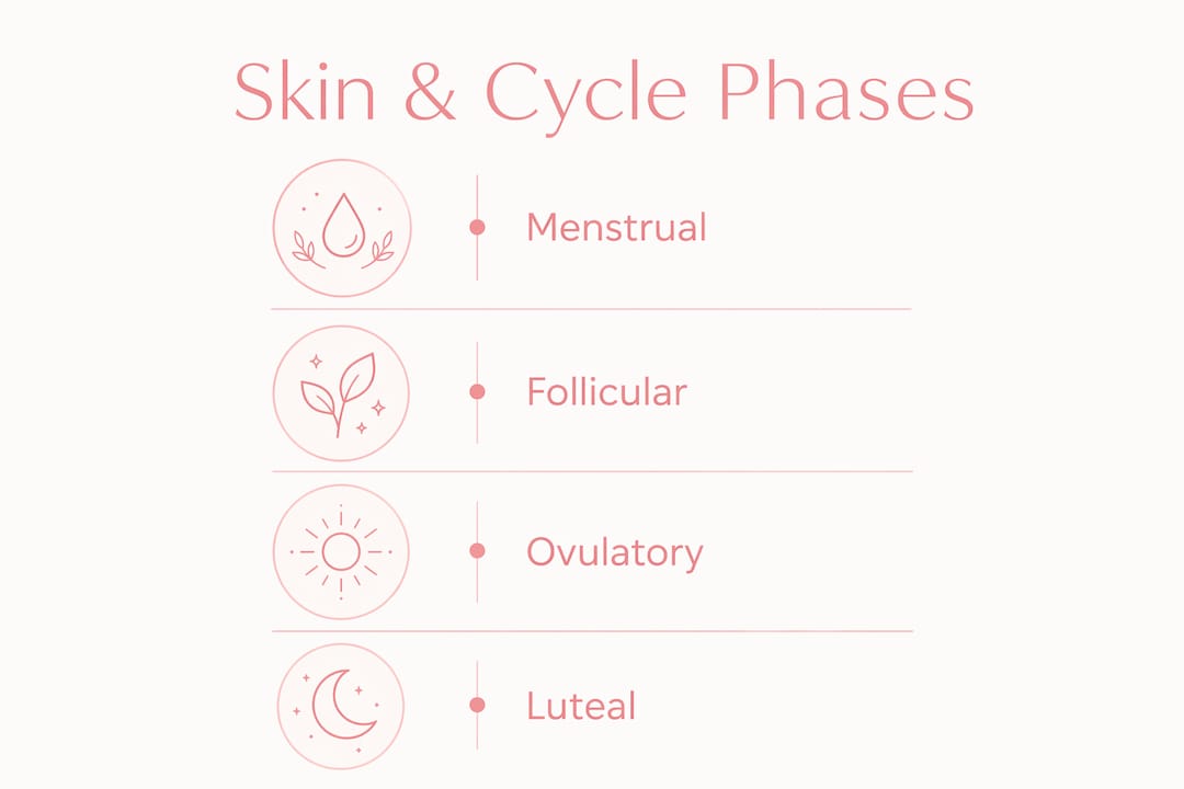 Infographic showing skin changes across menstrual cycle phases