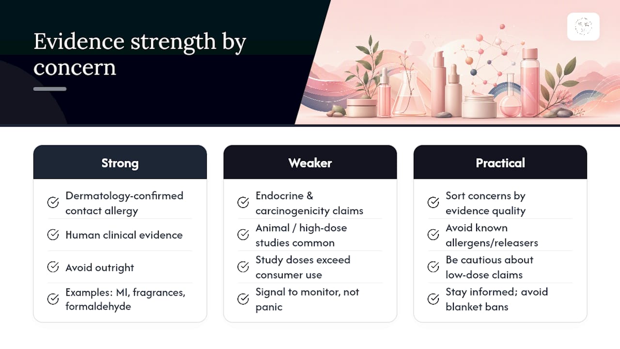 How Strong Is the Science Behind Clean Skincare Claims? — overview diagram