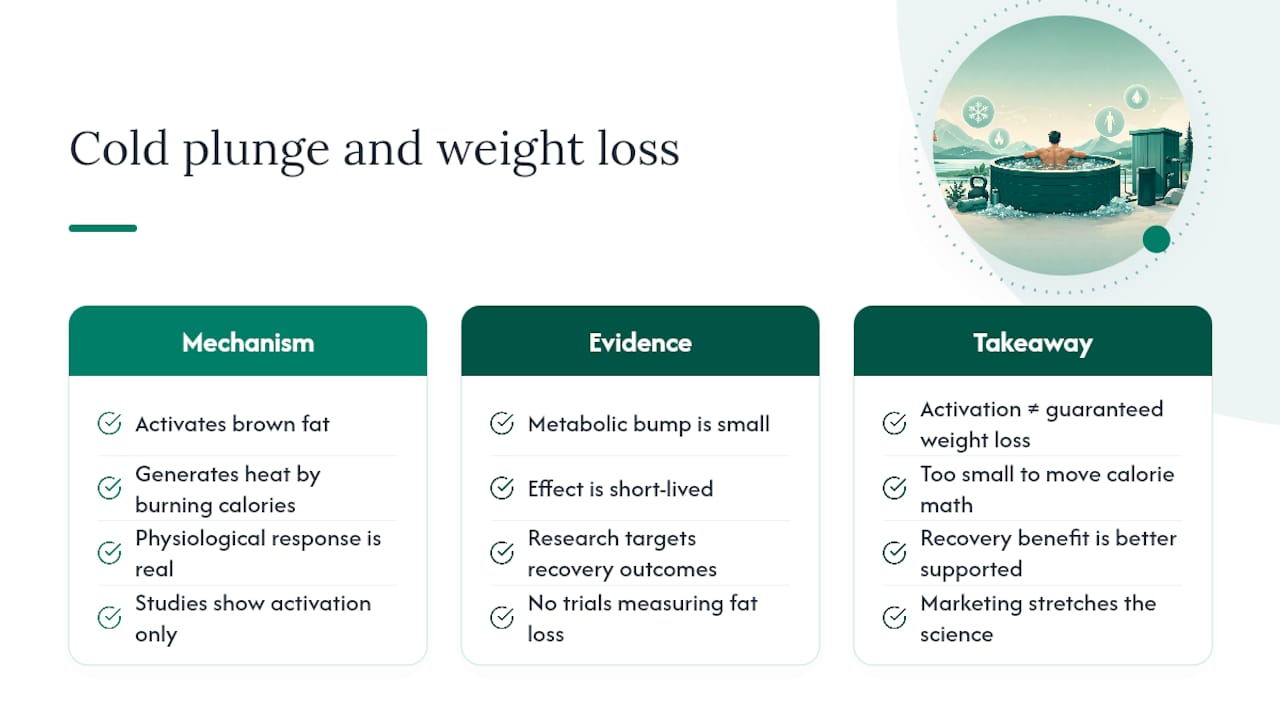 Why Do People Associate Cold Plunge With Weight Loss? — overview diagram