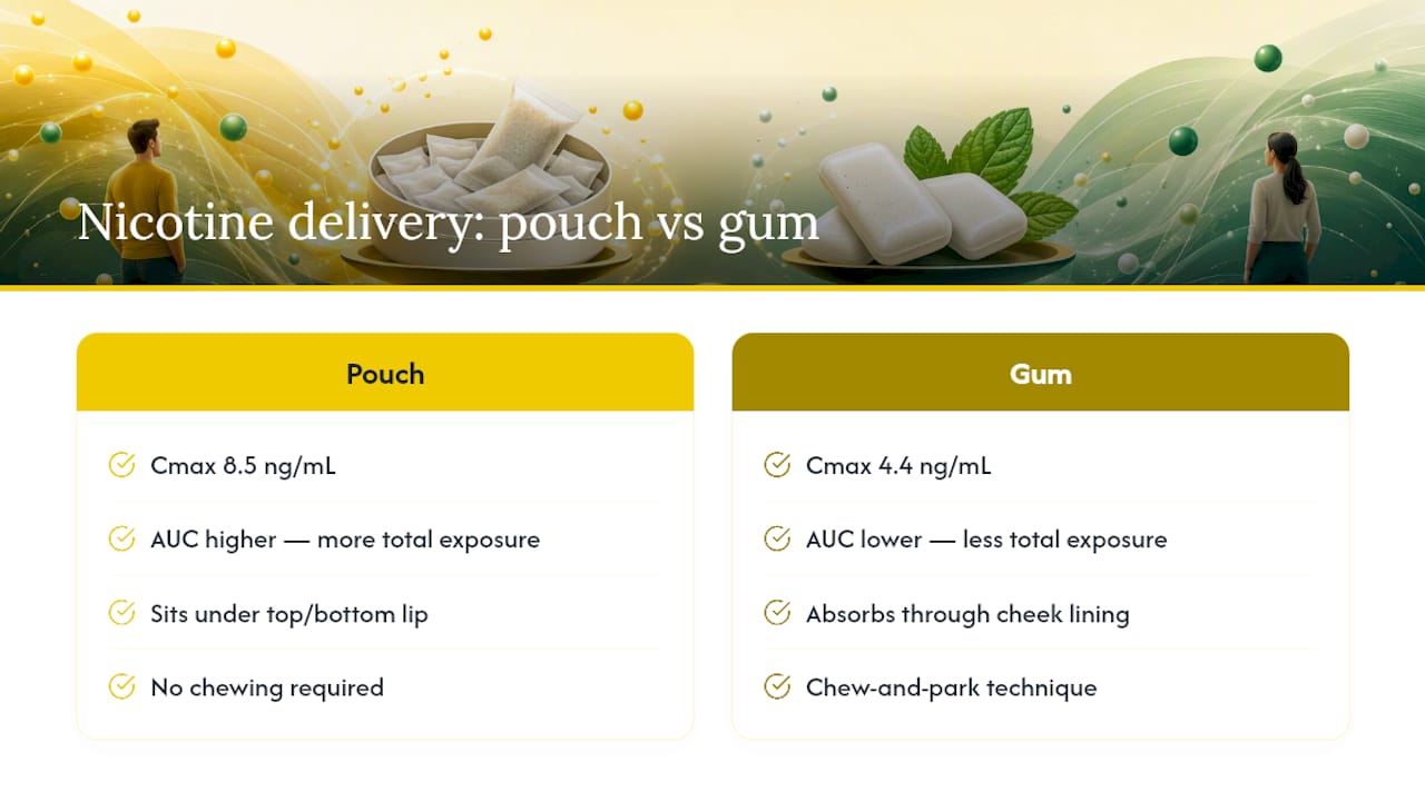 Nicotine concentration comparison for pouch and gum