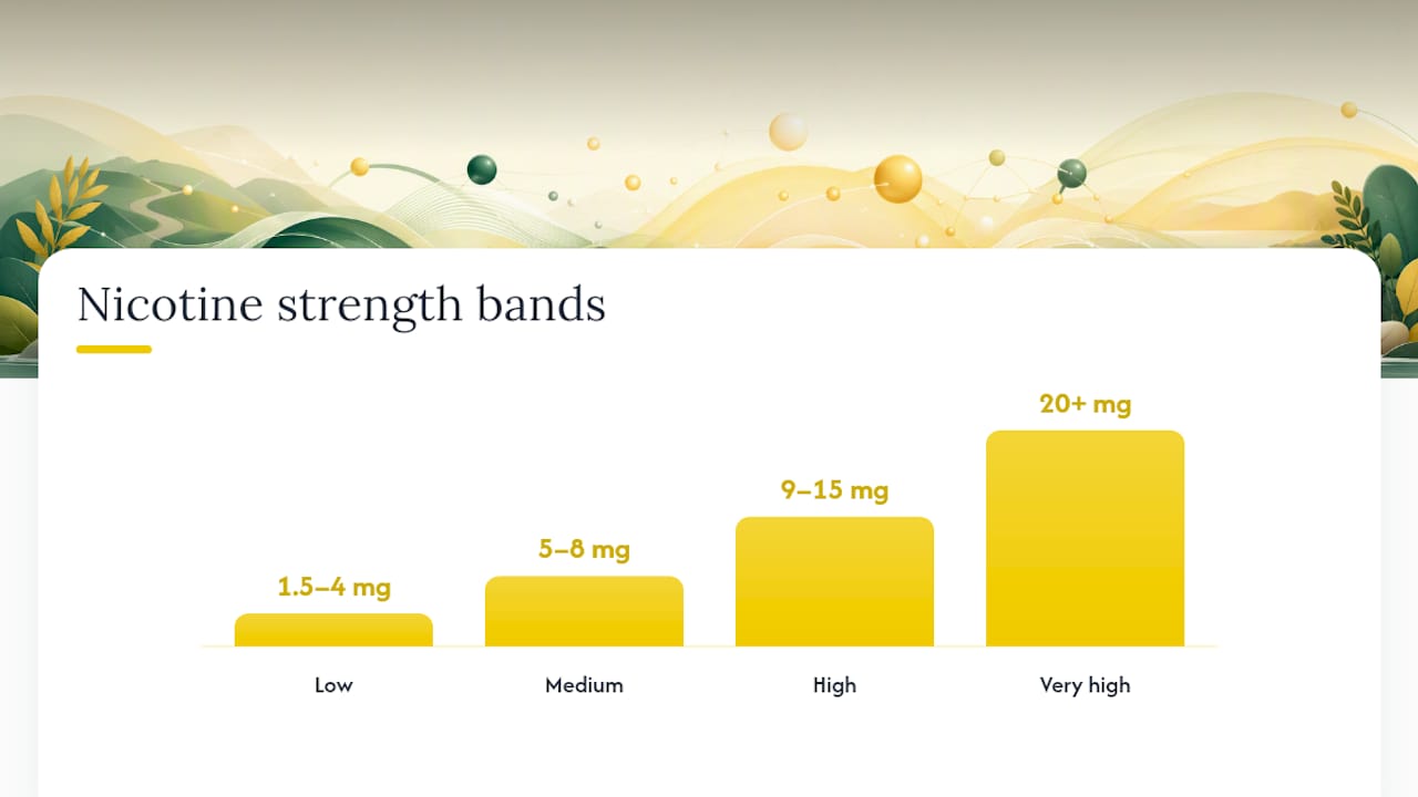 What are the nicotine pouch strengths and how many should you use? — overview diagram