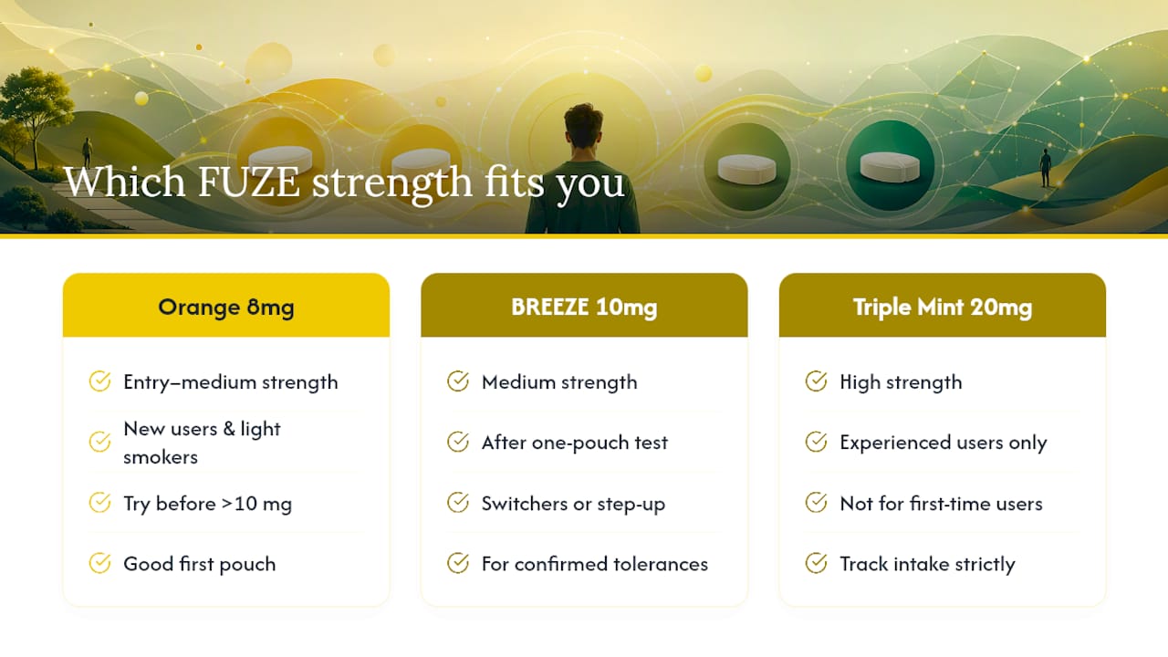 Which FUZE strength matches your experience level? — overview diagram