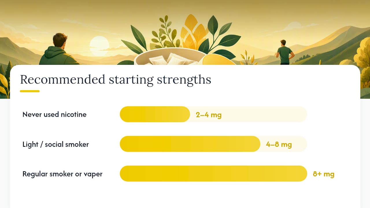 First-week nicotine pouch progression diagram