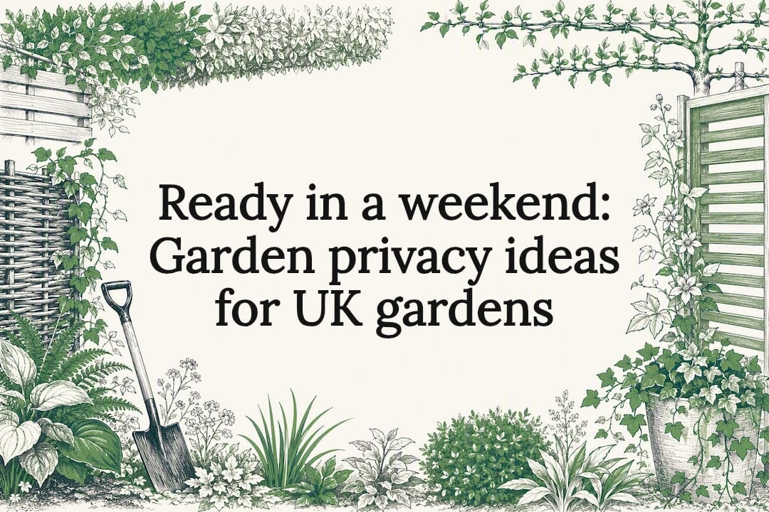 Garden privacy ideas title card illustration
