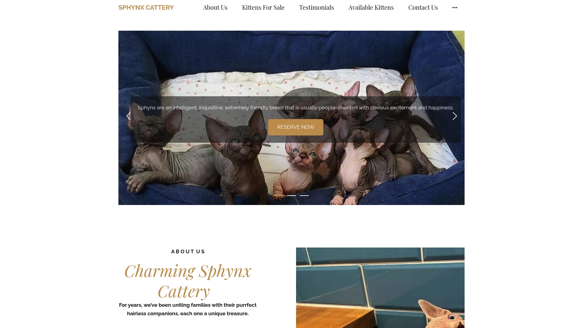 Charmingsphynx