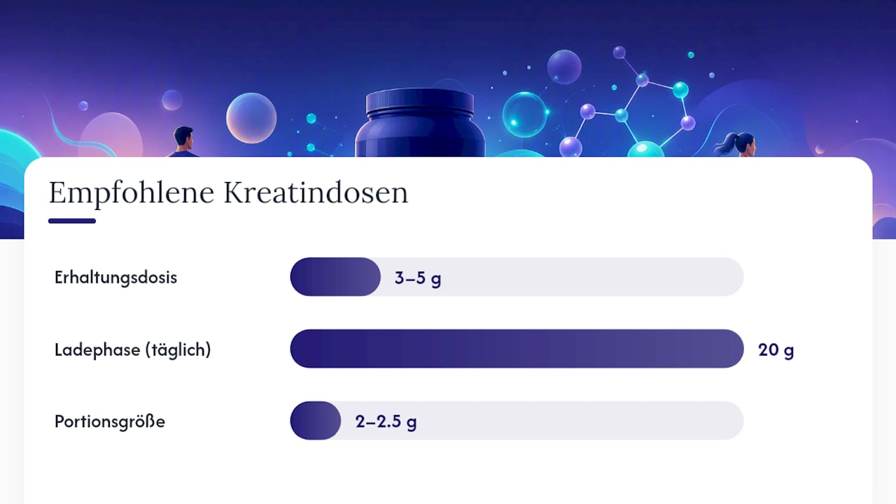 Wie viel Kreatin ist sicher und braucht man eine Ladephase? — overview diagram