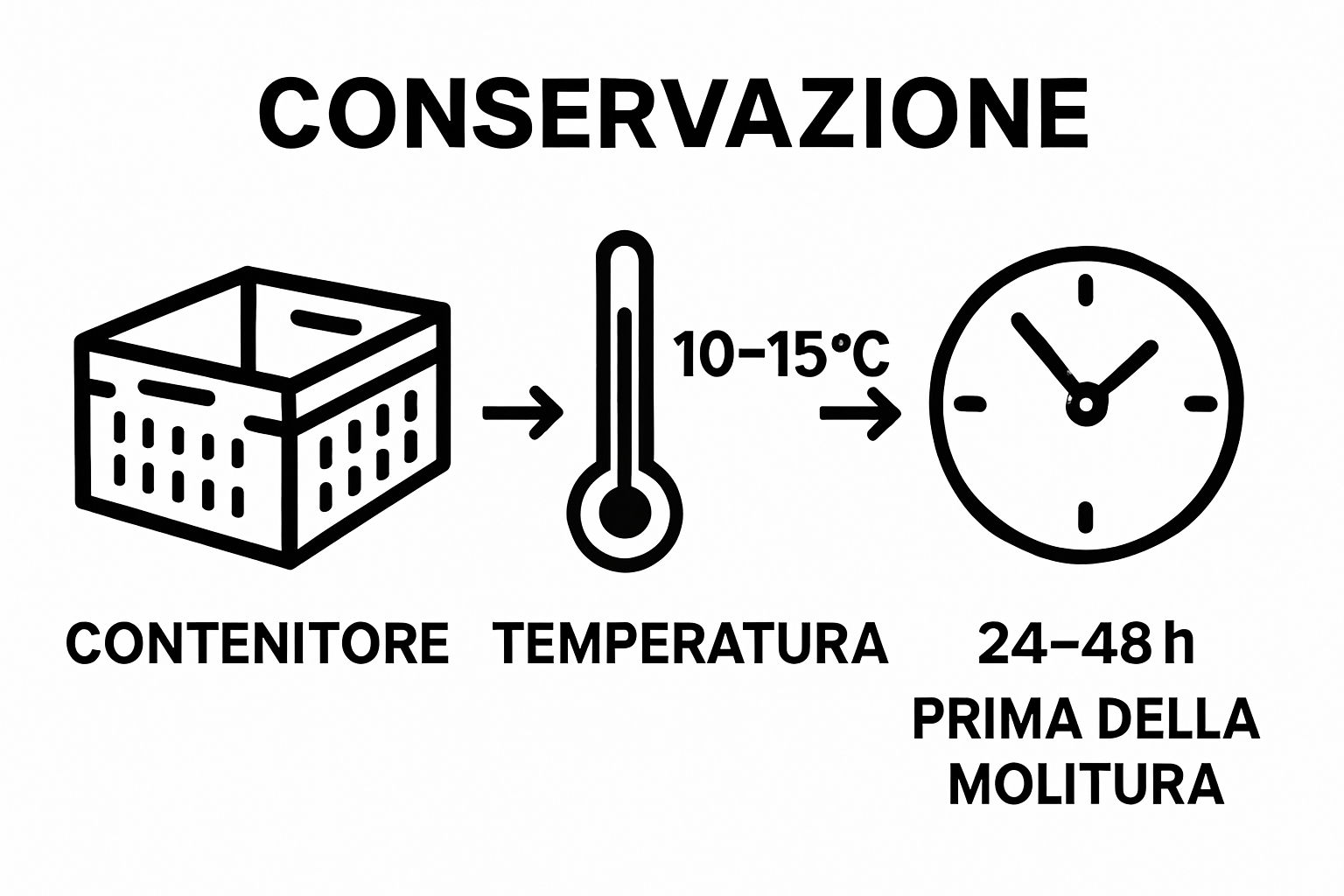 Infographic showing proper olive storage: ventilated crate, suggested temperature, and storage time before milling
