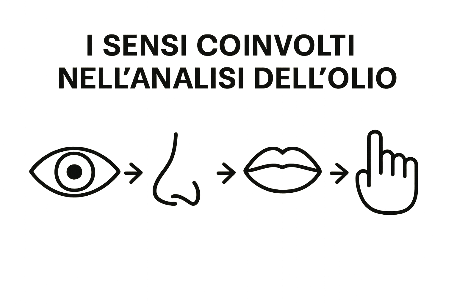 Icone dei 4 sensi principali nella degustazione dell’olio