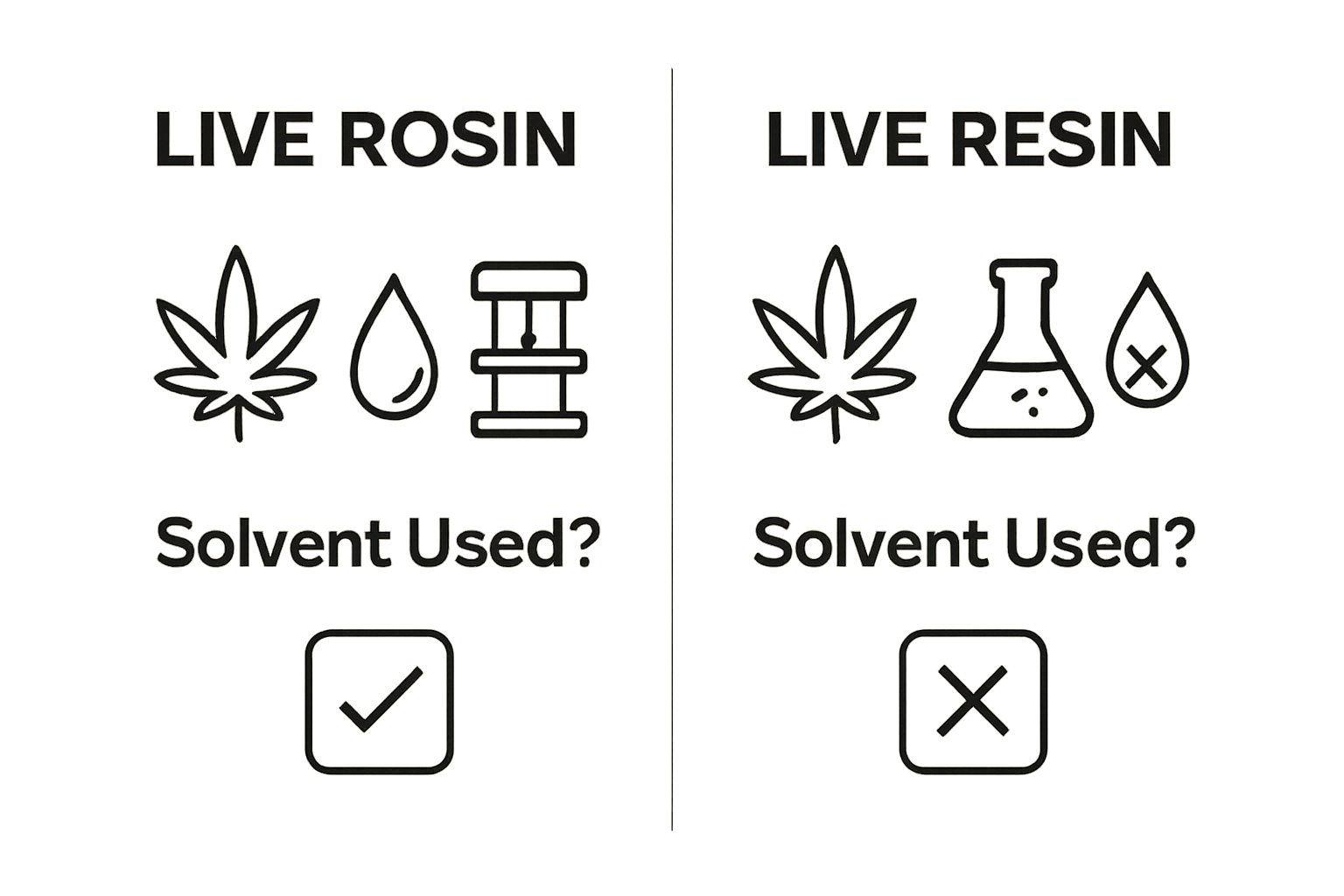 Infographic comparing live rosin and live resin extraction methods.
