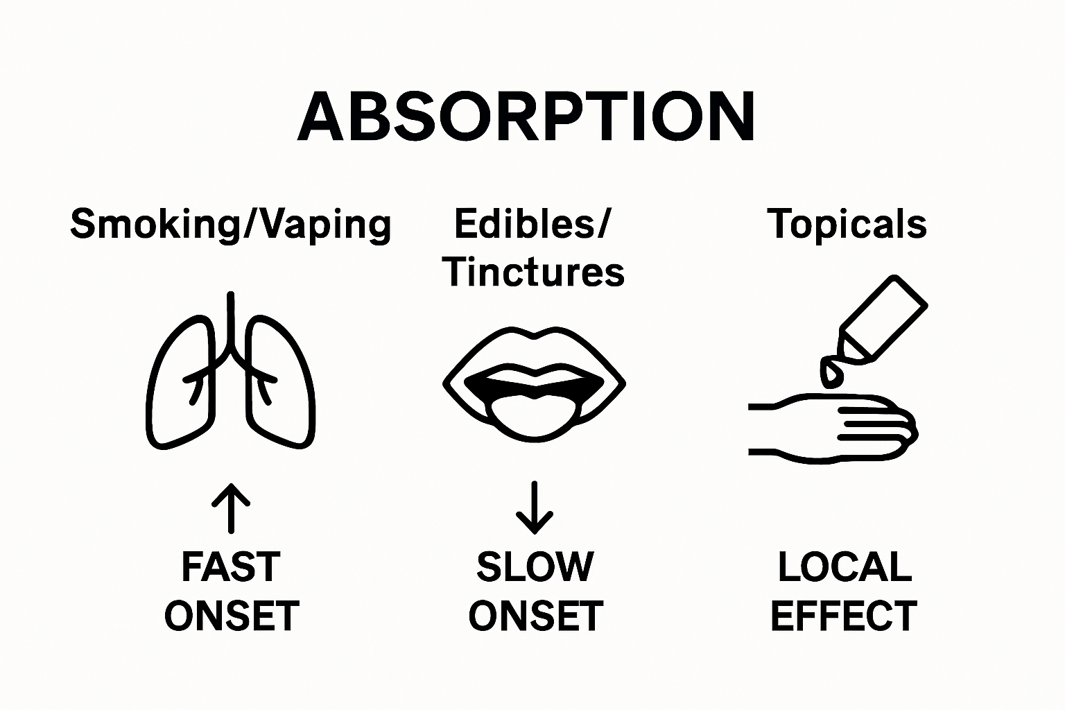 Infographic showing three cannabis consumption methods with absorption speed