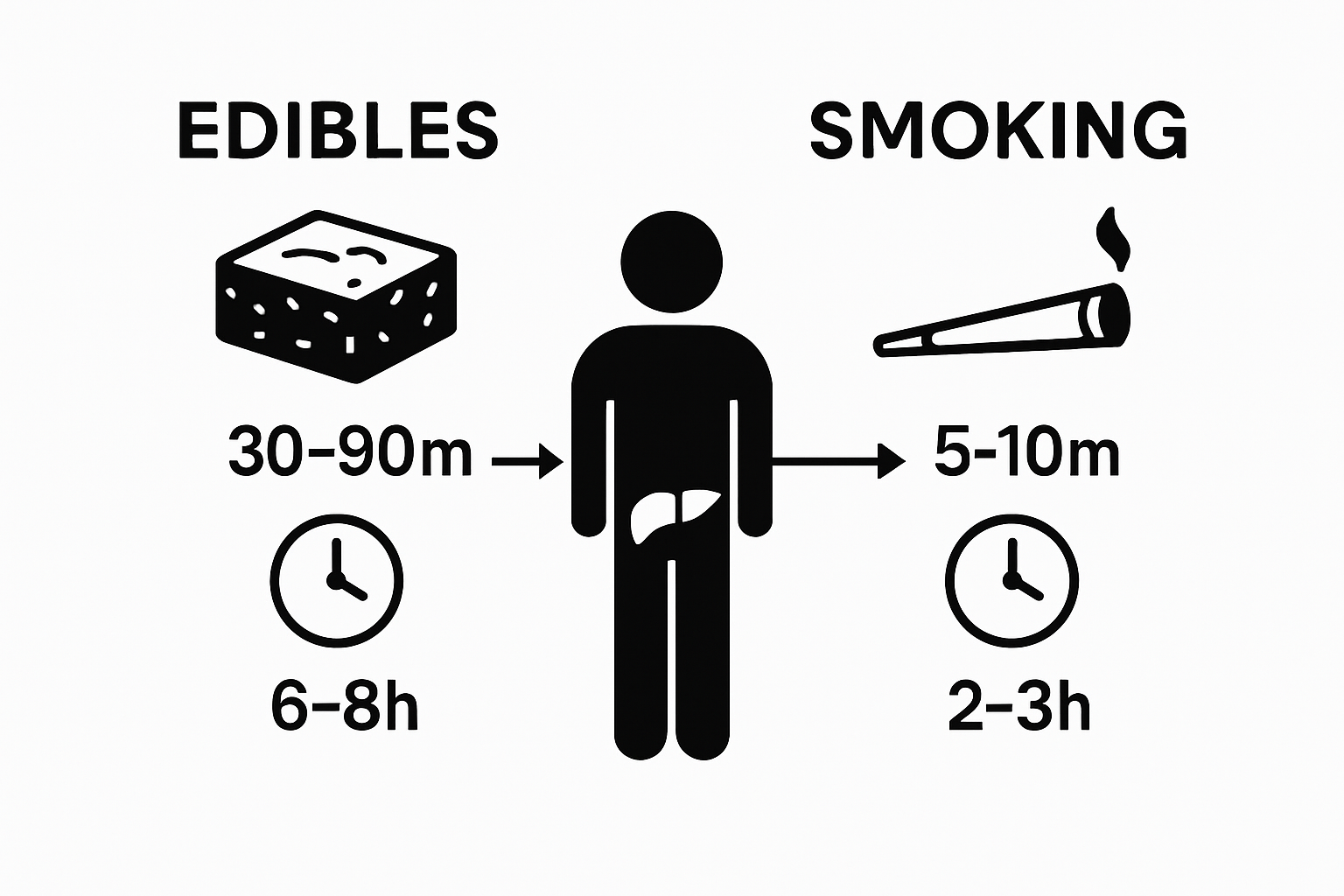 Infographic comparing edible versus smoking cannabis onset and duration
