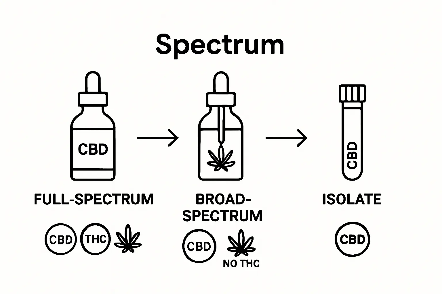 Infographic comparing full-spectrum, broad-spectrum, and isolate CBD