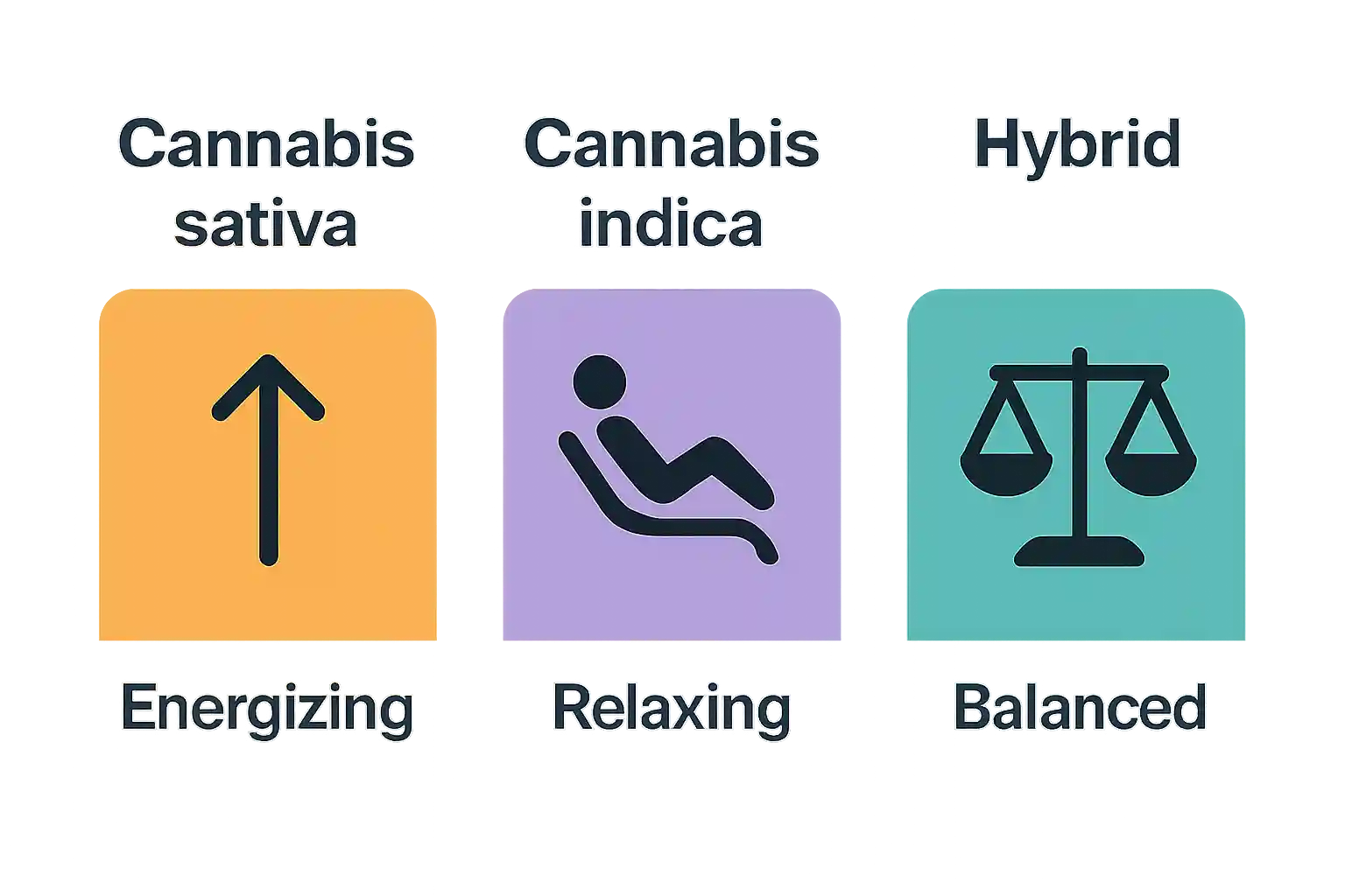 Simple comparison of cannabis strain types showing sativa, indica, and hybrid differences