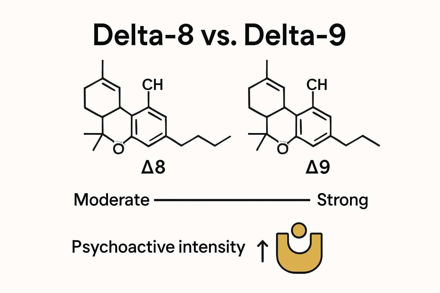 Infographic comparison of Delta-8 vs Delta-9 THC molecular structure and effects