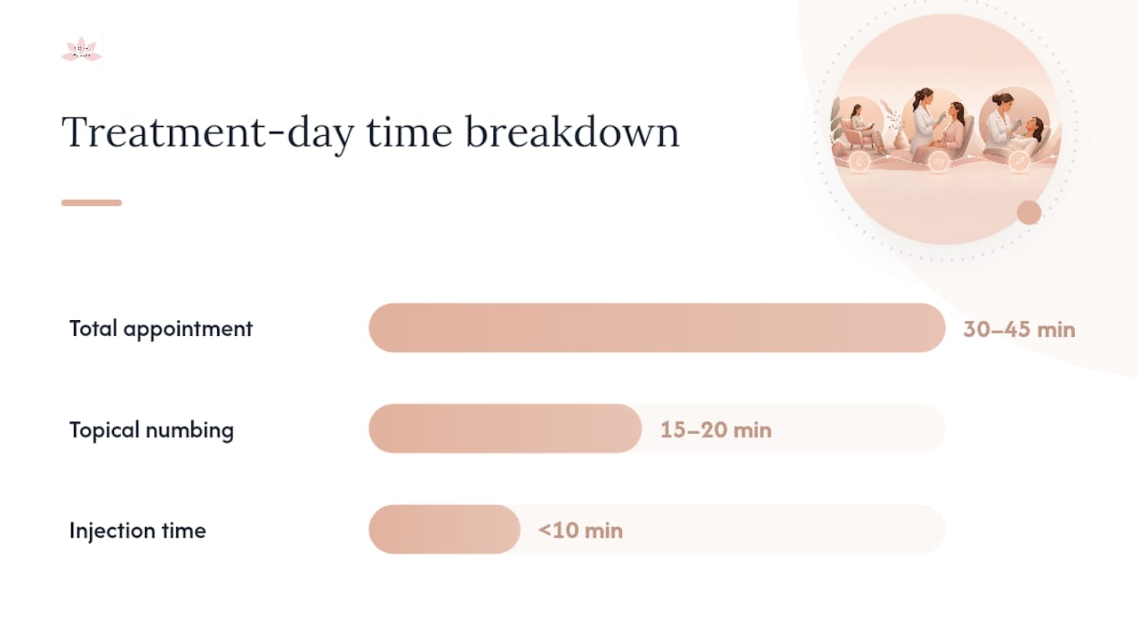 Lip filler appointment duration timeline