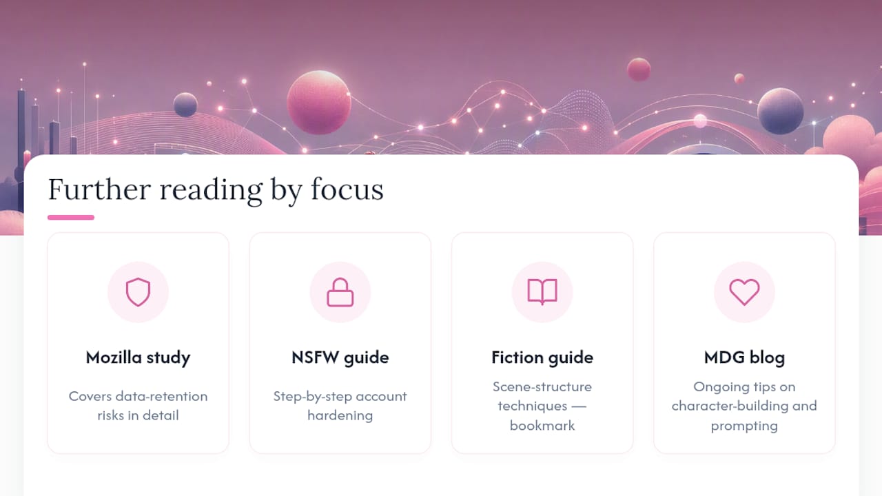 Where to Read More on Privacy and Prompting — overview diagram