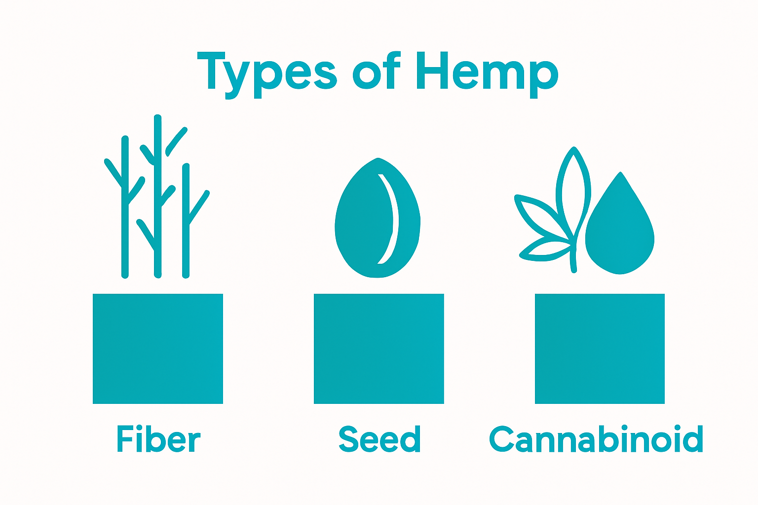 Three hemp types side-by-side visual breakdown