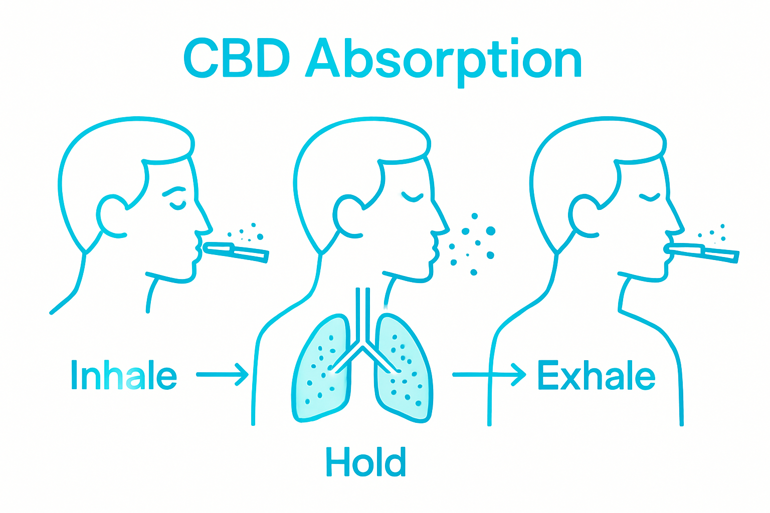 Infographic on optimal CBD inhalation steps