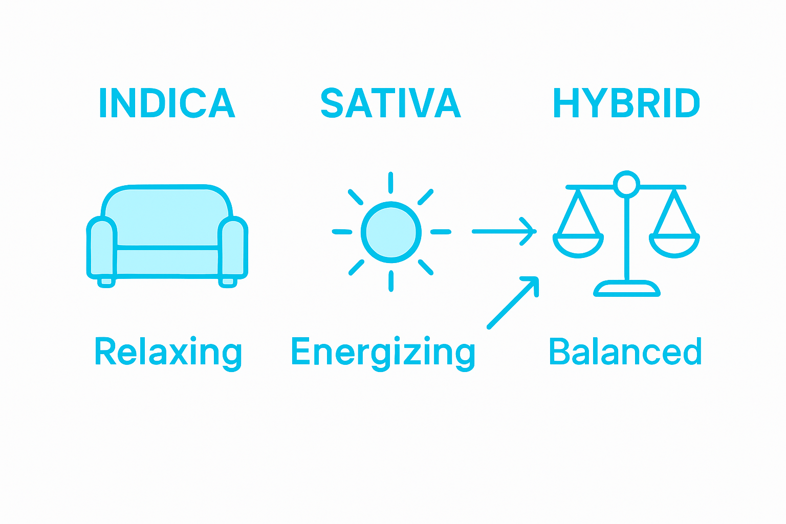 Infographic of indica vs sativa vs hybrid effects