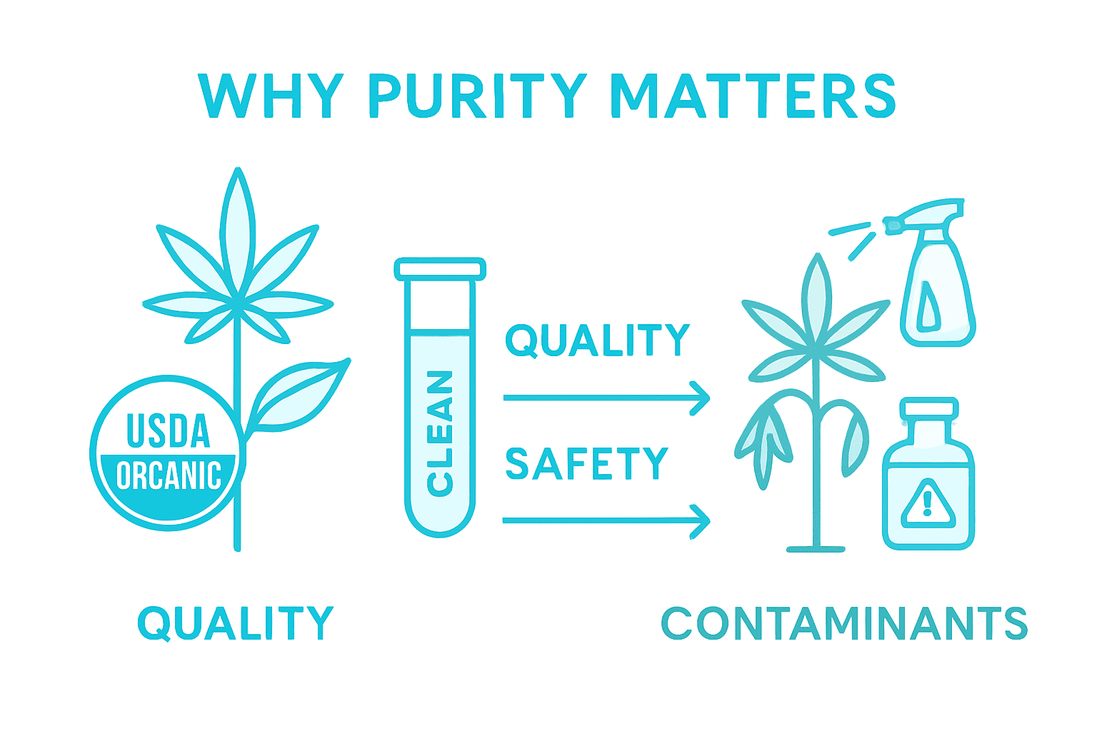 Infographic comparing organic and non-organic CBD