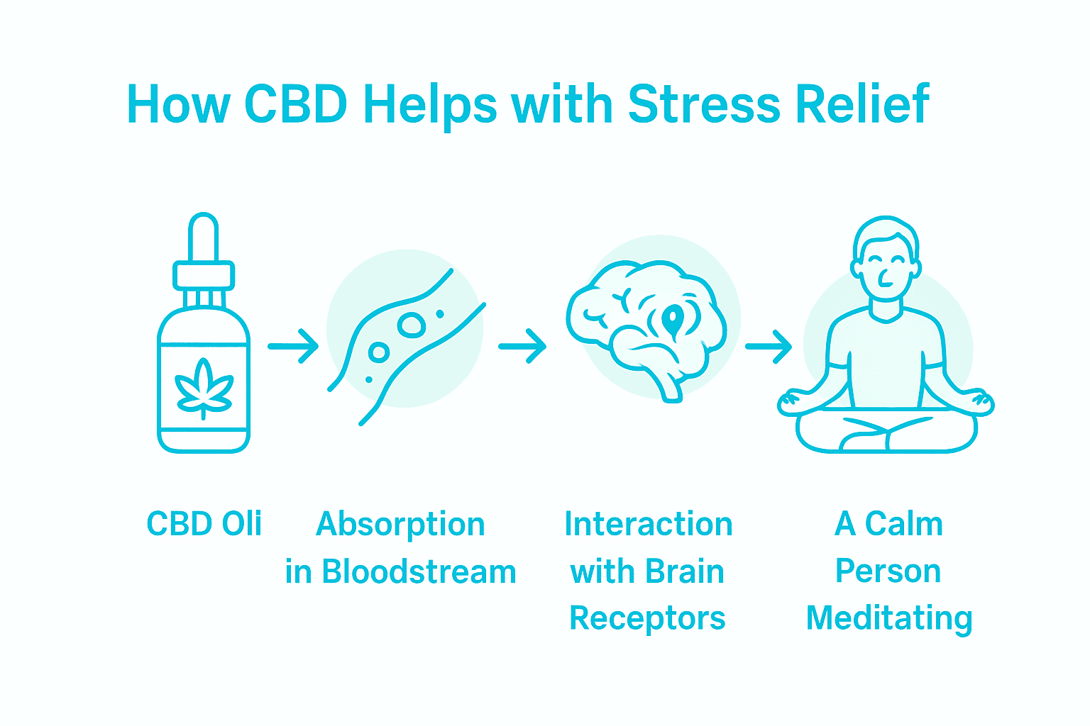 Infographic on CBD stress relief process