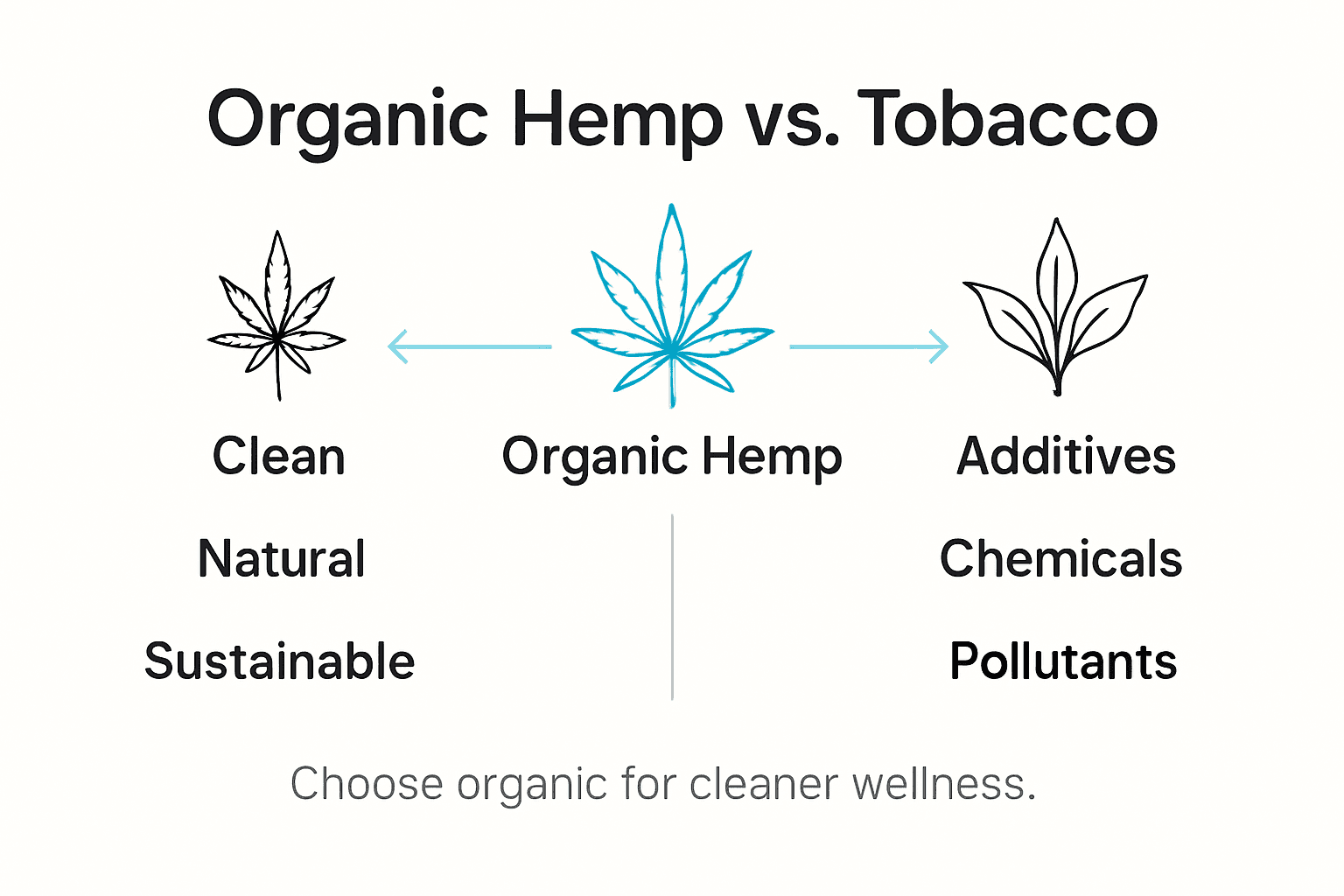 Infographic comparing hemp, tobacco, and conventional hemp