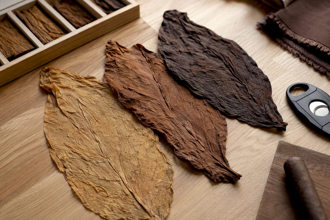 Contrasting tobacco wrapper leaves for comparison