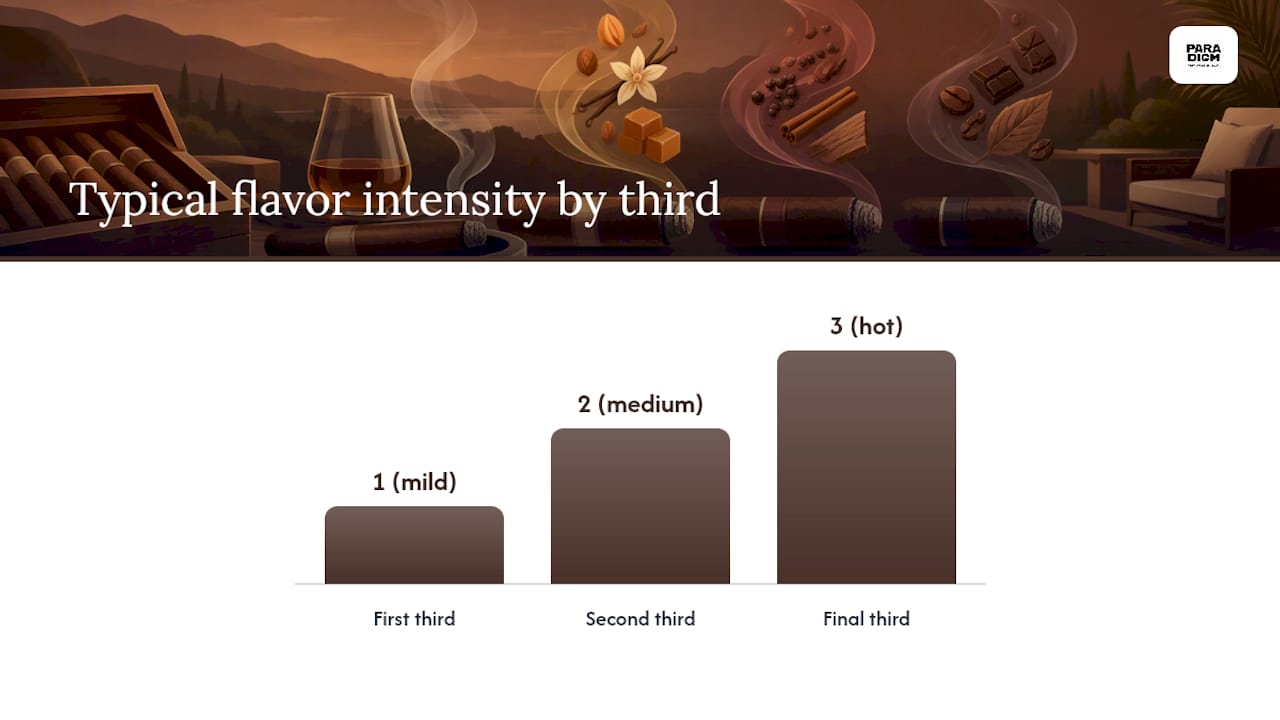 How to Taste and Record Cigar Flavors So You Can Search Them Later — overview diagram