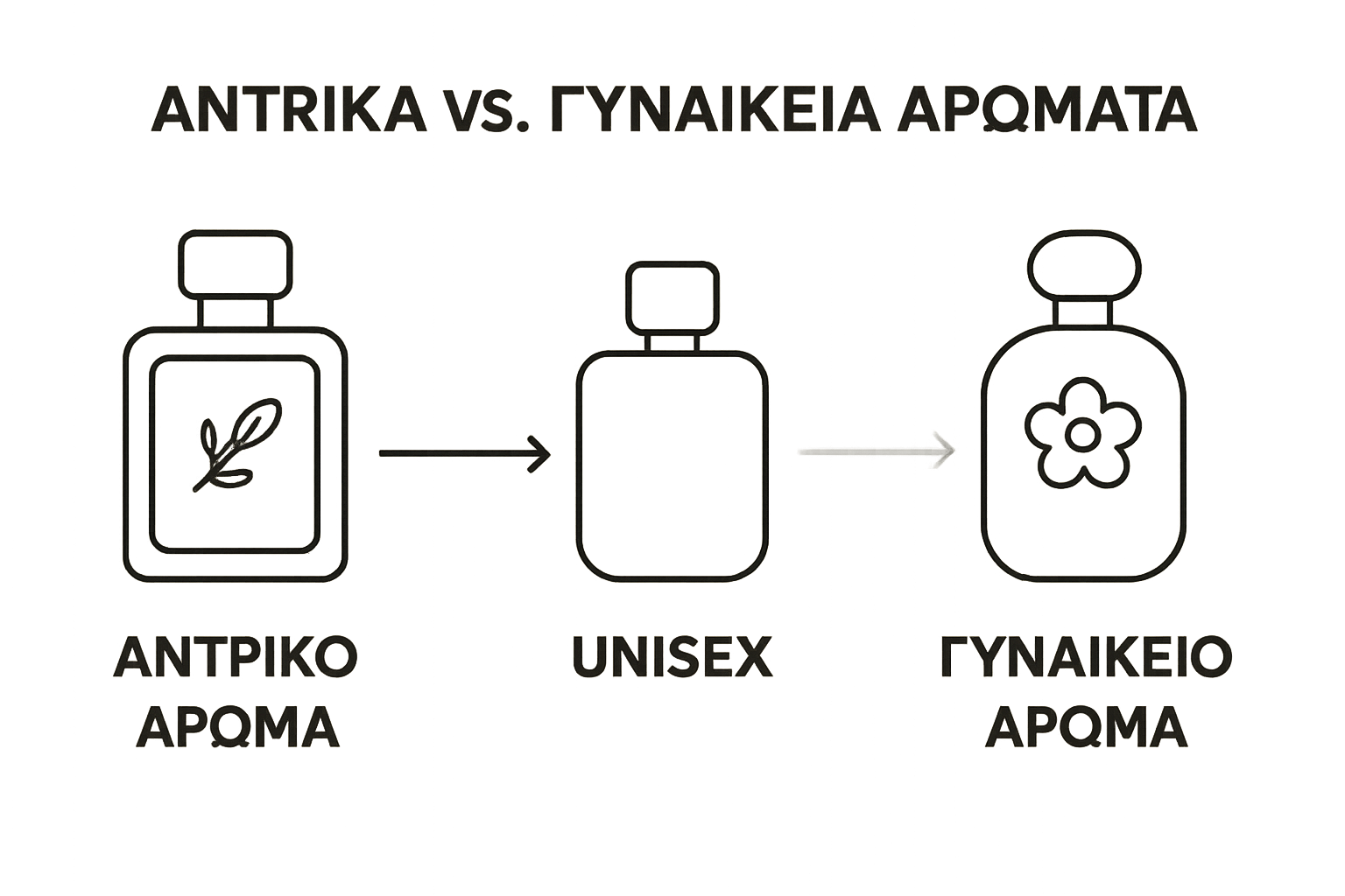 Infographic comparing men's, women's, and unisex perfume categories visually