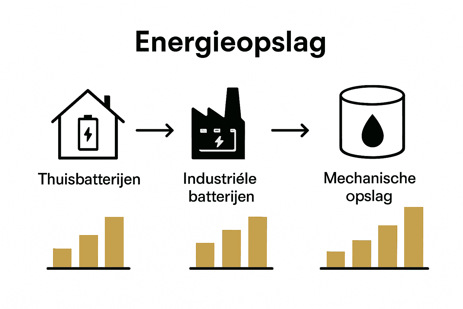 Infographic vergelijking energie-opslagsystemen Nederland