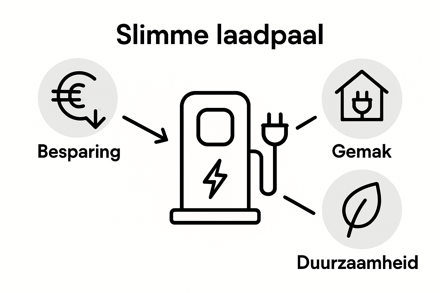 Infographic: De voordelen van een slimme laadpaal op een rij