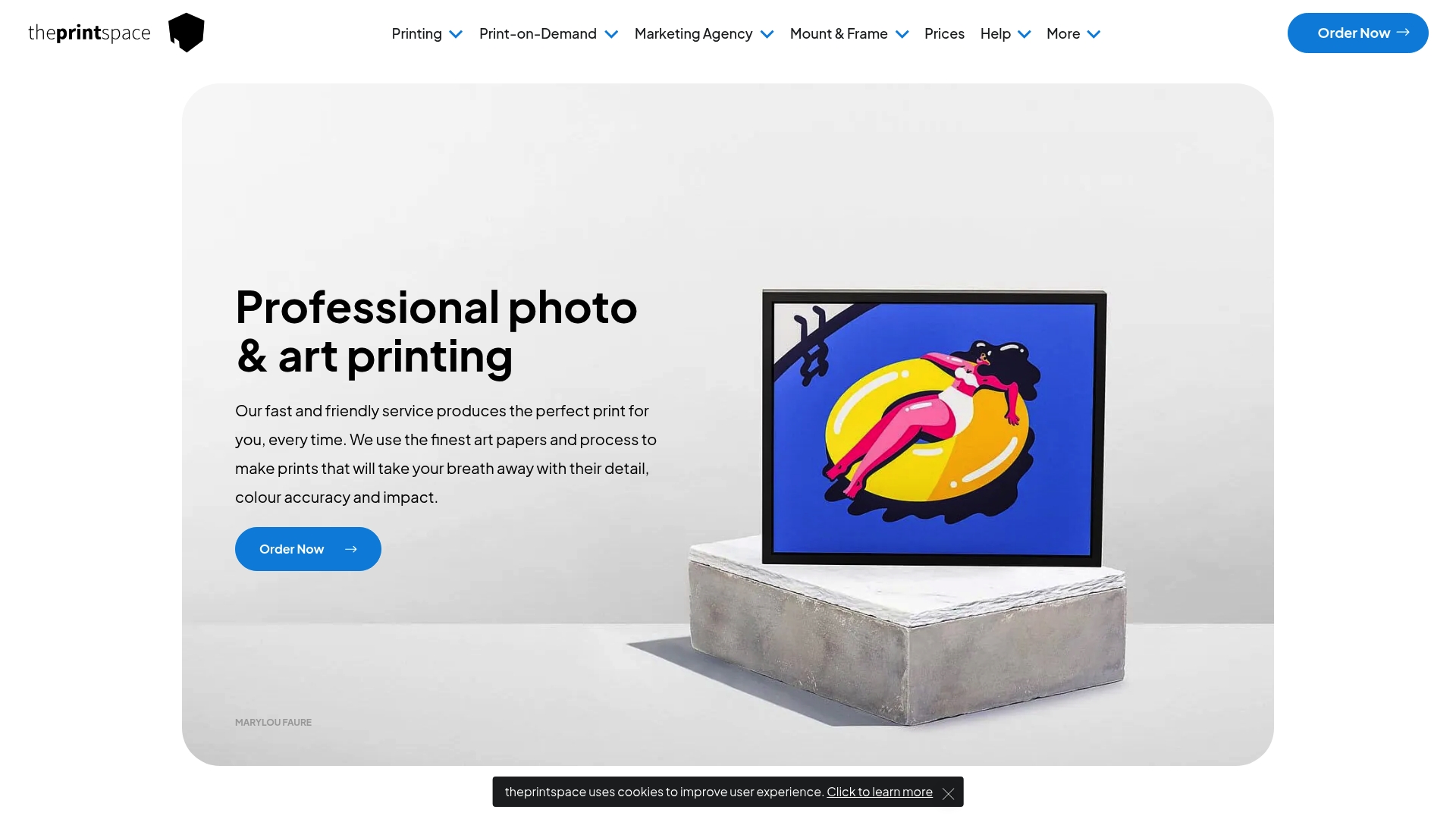 Product Screenshot