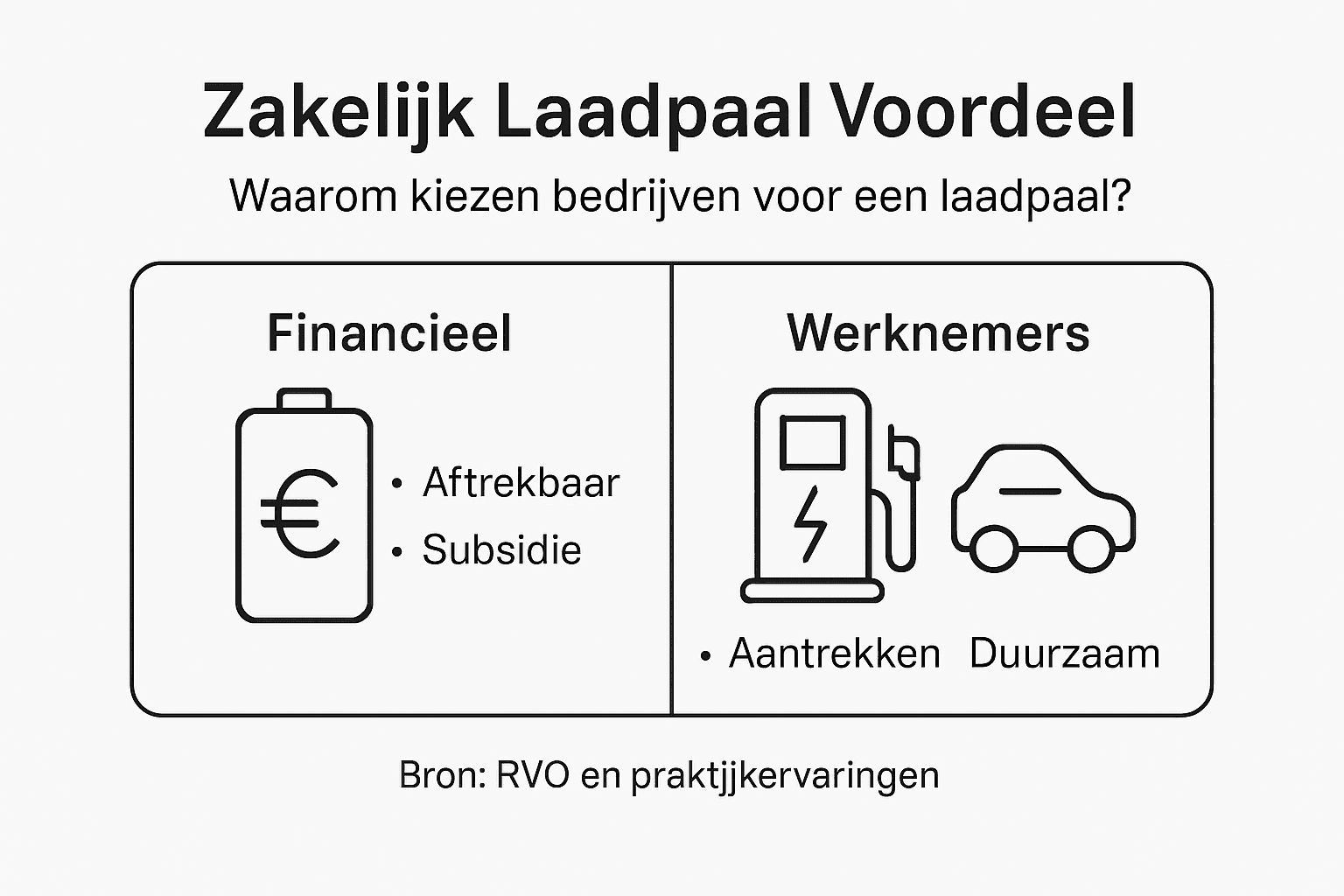 Infographic: de voordelen van een zakelijke laadpaal voor jouw bedrijf op een rij
