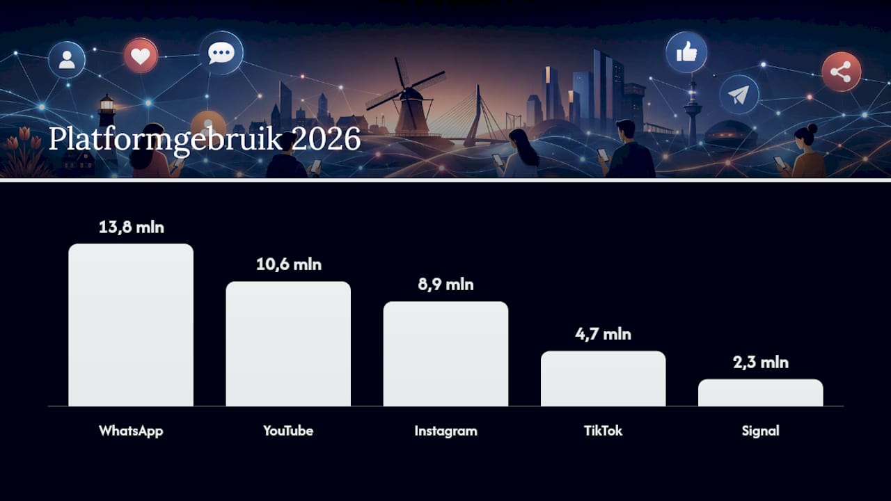 Welke platforms domineren en wat zegt dat over hoe Nederlanders social media gebruiken? — overview diagram
