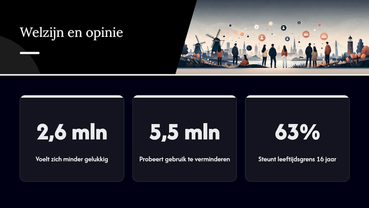 Wat betekent het gebruik van social media voor het welzijn van Nederlanders? — overview diagram