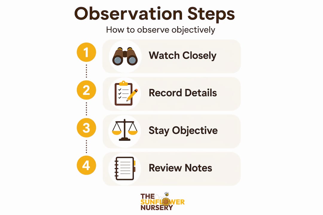 Infographic with steps for objective observation