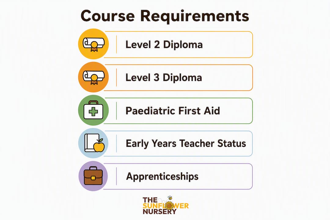 Infographic of early childhood education course requirements