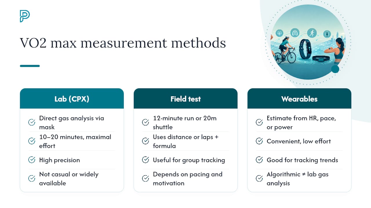 How Is VO2 Max Measured? — overview diagram
