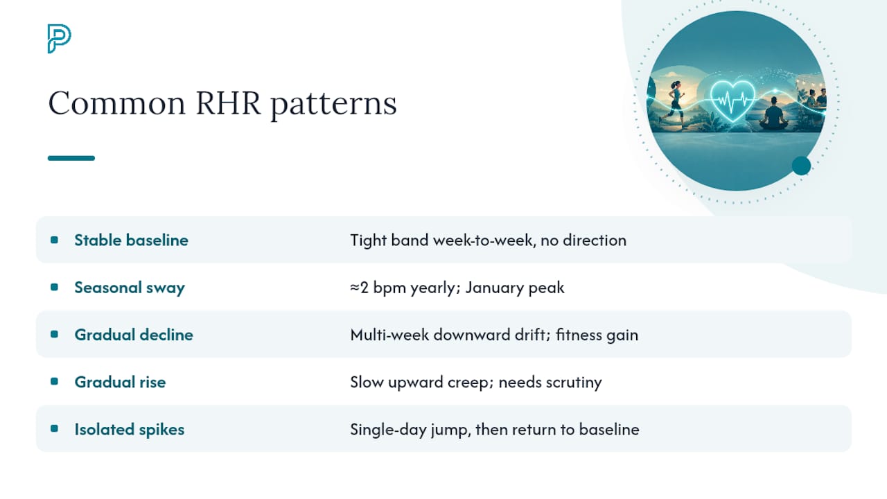 Common Resting Heart Rate Patterns and What They Look Like — overview diagram