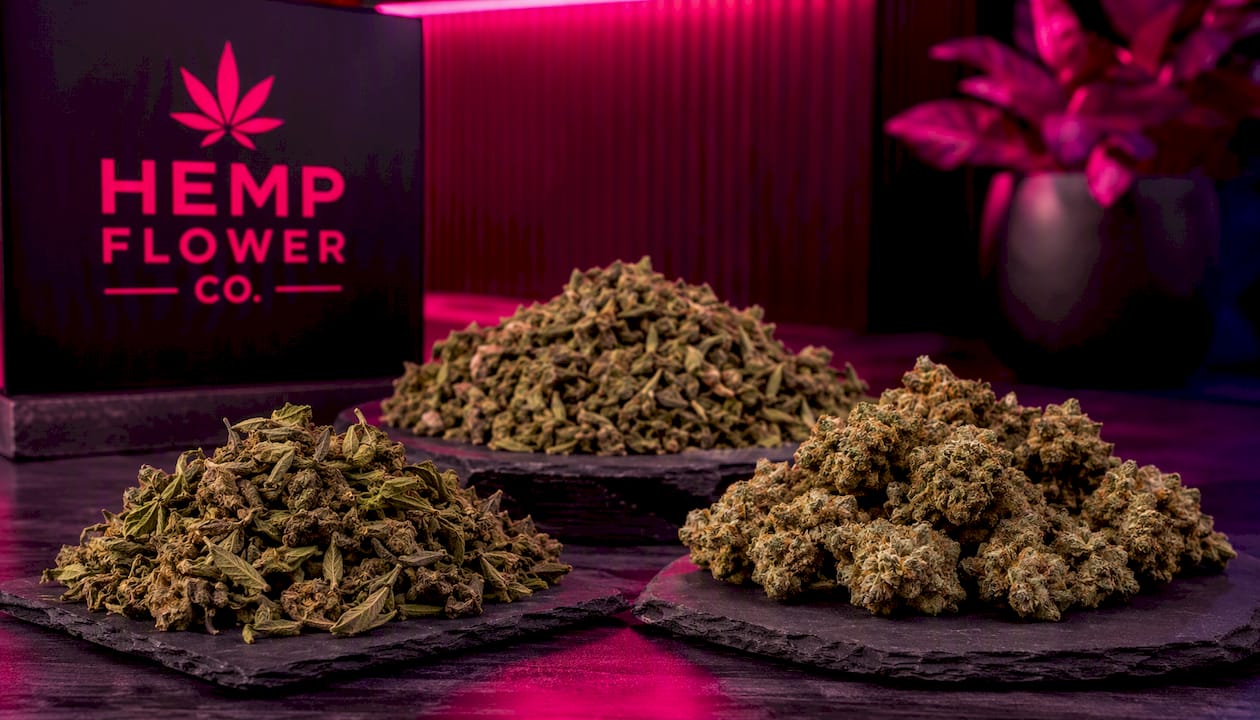 Turtle Taffy Full-Term THCa Trim Wholesale