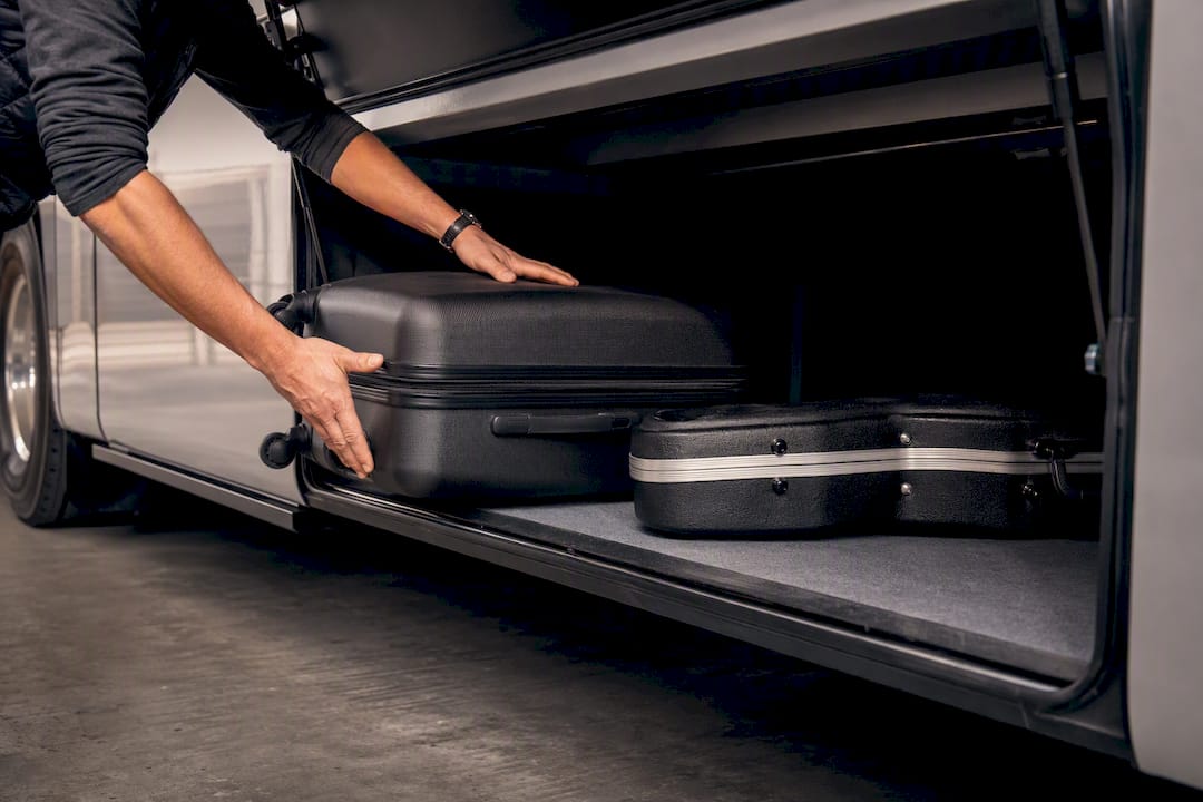 Suitcase and instrument case in luggage hold