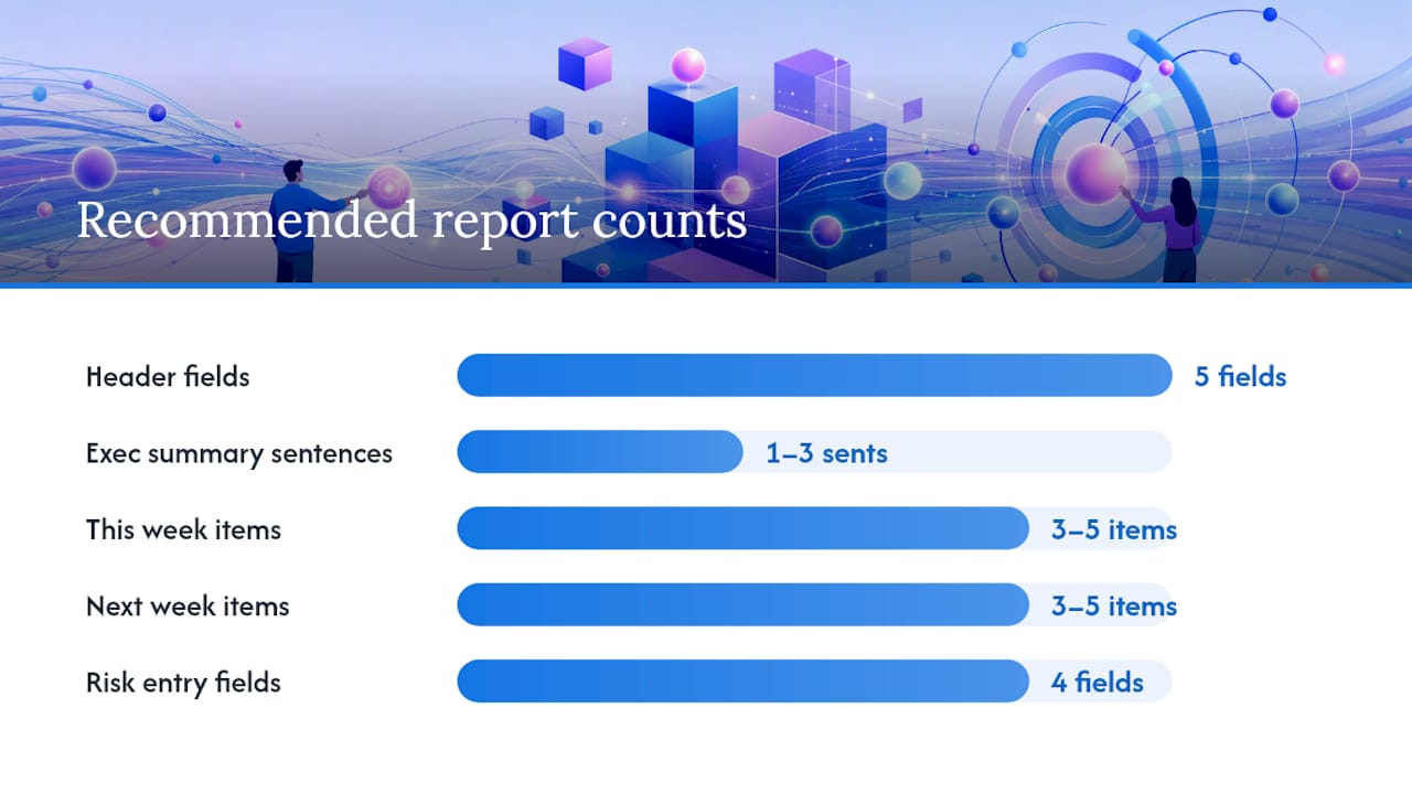 How to Structure a Weekly Project Status Report, overview diagram