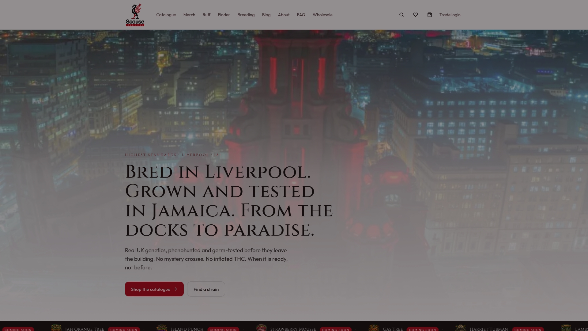 Scousegenetics